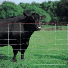 Agriculture Fence for Animal